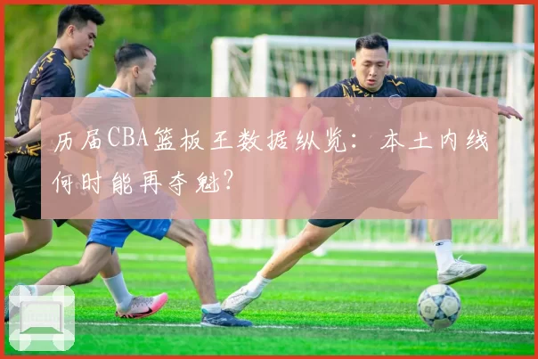 历届CBA篮板王数据纵览：本土内线何时能再夺魁？