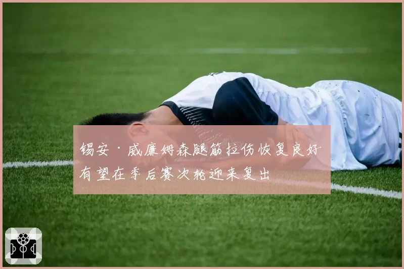 锡安·威廉姆森腿筋拉伤恢复良好 有望在季后赛次轮迎来复出