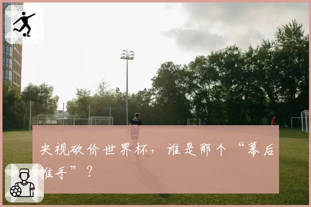 央视砍价世界杯，谁是那个“幕后推手”？