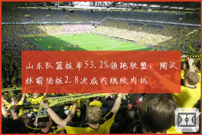 山东队篮板率53.2%领跑联盟，陶汉林前场板2.8次成内线绞肉机
