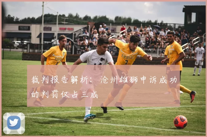 裁判报告解析：沧州雄狮申诉成功的判罚仅占三成